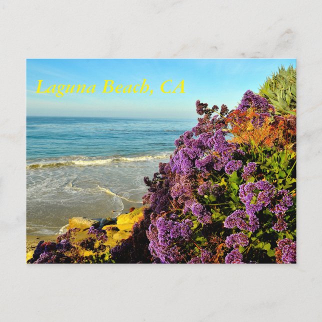 Laguna Beach Postcard (Front)