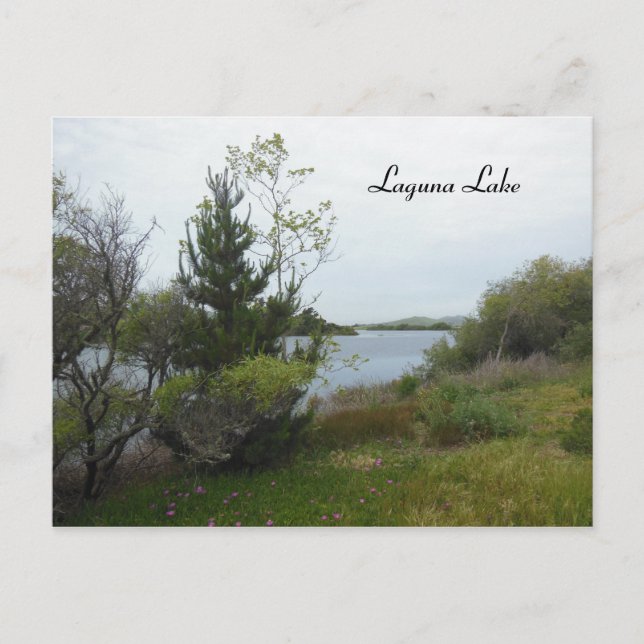 Laguna Lake, San Luis Obispo, after Rain Postcard (Front)