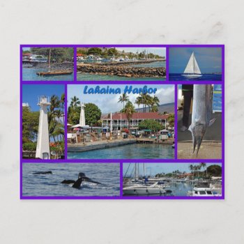 Lahaina Harbor Postcard by fredsredt at Zazzle