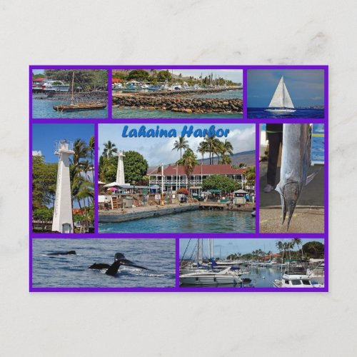 Lahaina Harbor Postcard