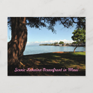 Lahaina Maui Scenic Postcard