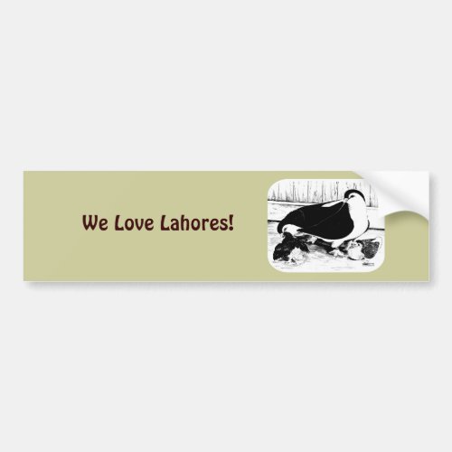Lahores 1980 bumper sticker