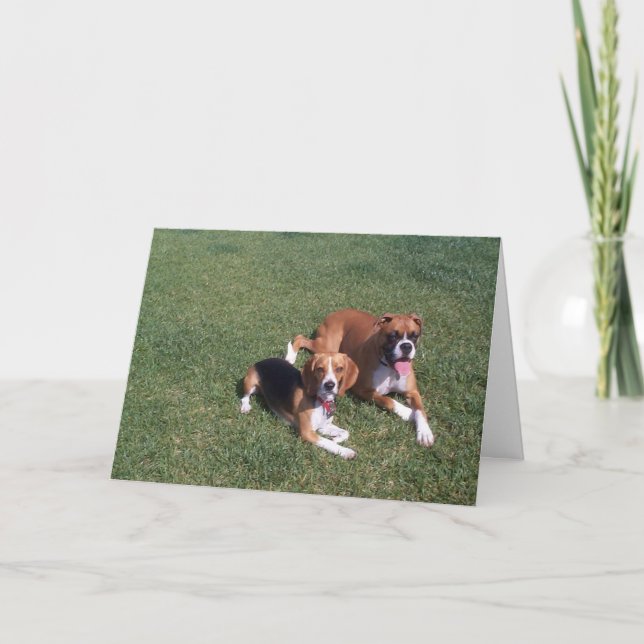 Laid Back Card (Front)