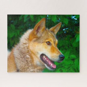 Laika Dog Jigsaws. Jigsaw Puzzle