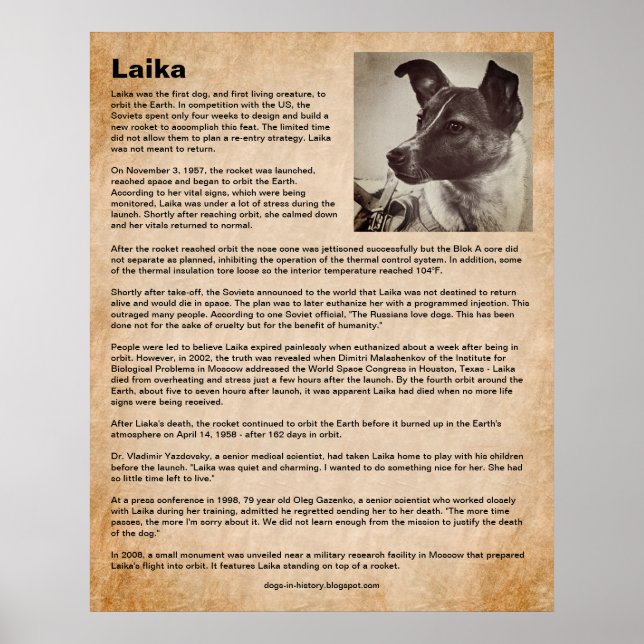 Laika, the First Dog in Space Poster (Front)