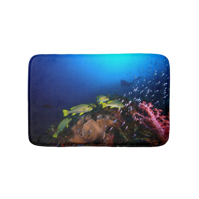 Laja Ampat Underwater 3 Bathroom Mat (Front)