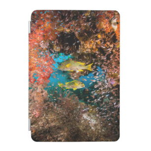 Laja Ampat Underwater 6 iPad Mini Cover