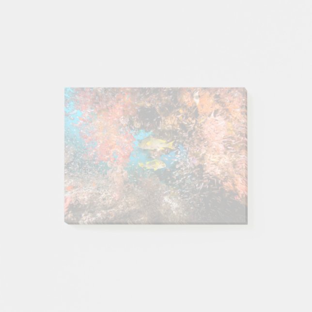 Laja Ampat Underwater 6 Post-it Notes (Front)