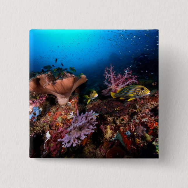 Laja Ampat Underwater Button (Front)