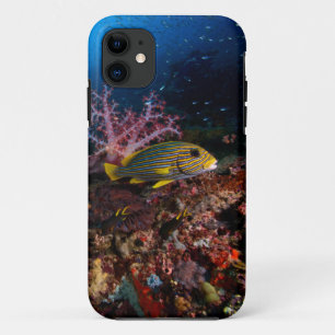 Laja Ampat Underwater iPhone 11 Case