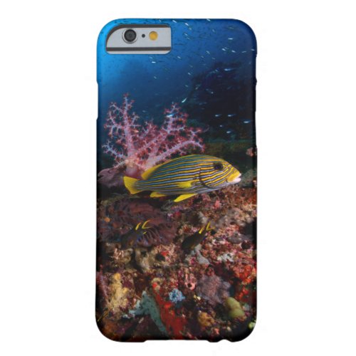 Laja Ampat Underwater Barely There iPhone 6 Case