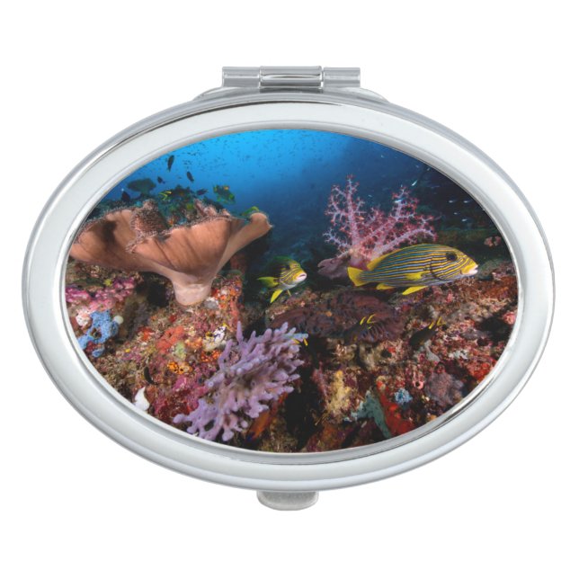 Laja Ampat Underwater Vanity Mirror (Front)
