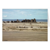 Lake Abbe (Front Horizontal)