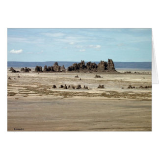 Lake Abbe Cards