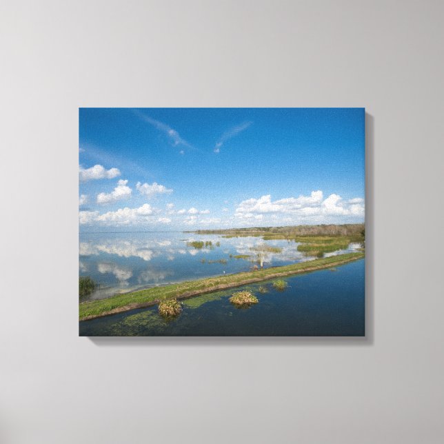 Lake Apopka Florida Canvas Print (Front)