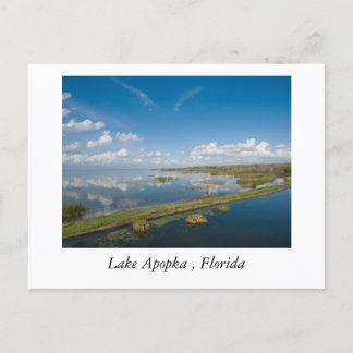 Lake Apopka, Florida Postcard