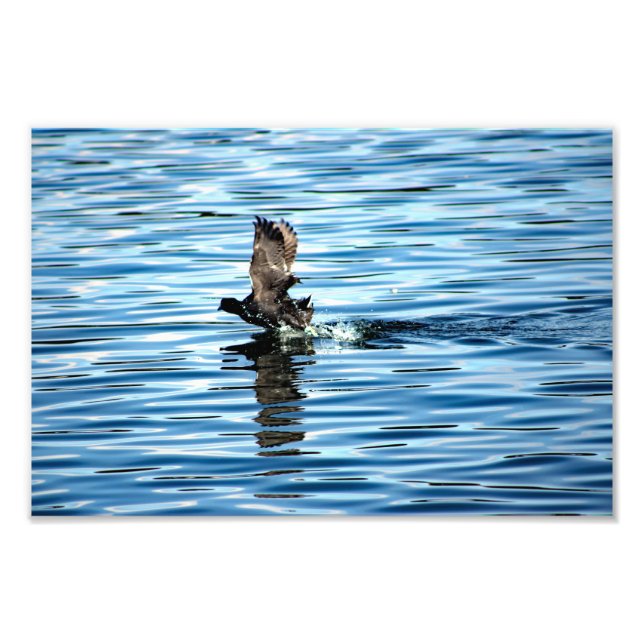 Lake Arrowhead Photo Print (Front)