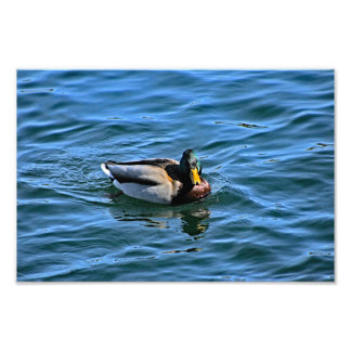 Lake Arrowhead Photo Print