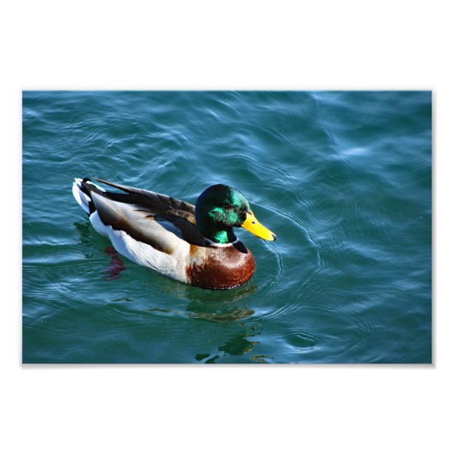 Lake Arrowhead Photo Print (Front)