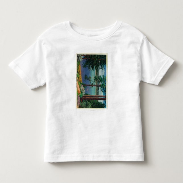 Lake Arrowhead ViewLake Arrowhead, CA Toddler T-shirt (Front)