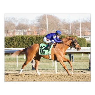 Lake Avenue by Tapit Photo Print