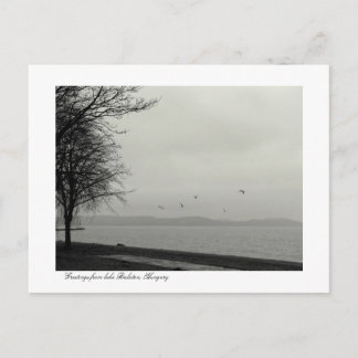 Lake Balaton scenery b&w Postcard