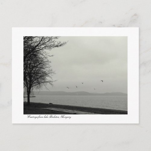 Lake Balaton scenery bw Postcard