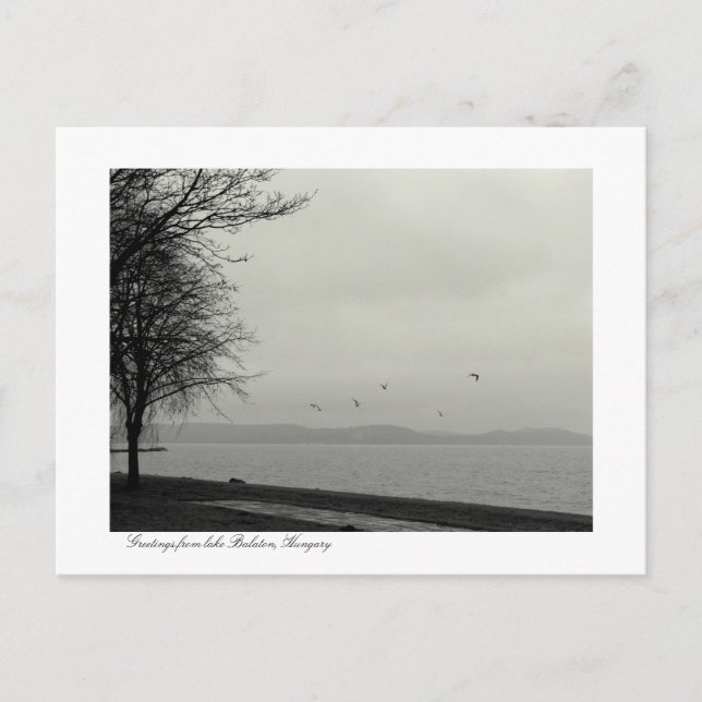 Lake Balaton scenery b&w Postcard (Front)