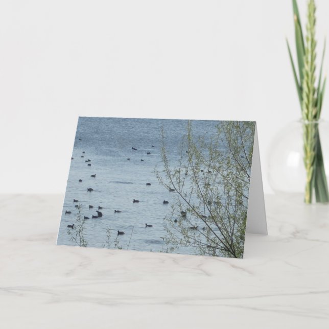 Lake Birds Greeting Card (Front)