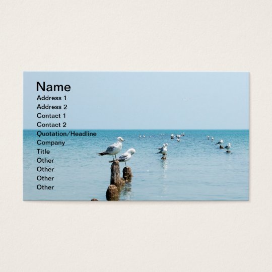 LAKE BUSINESS CARD
