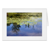 Lake Caroline (Front Horizontal)