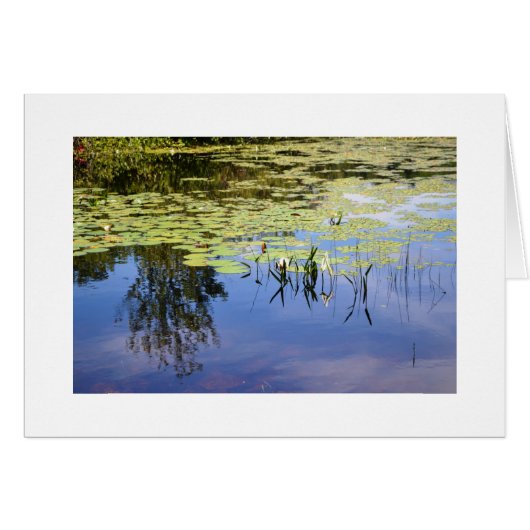 Lake Caroline Cards (Front Horizontal)