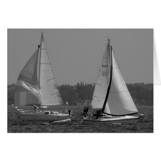 Lake Champlain Sailboats Cards (Front Horizontal)