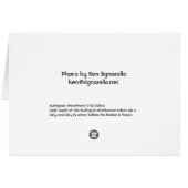 Lake Champlain Steam Cards (Back Horizontal)