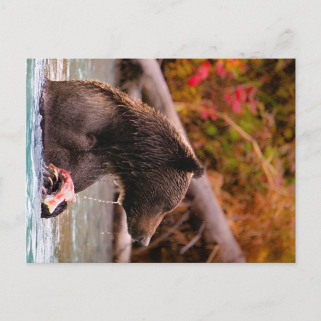 Lake Clark National Park Alaska Postcard (Front)
