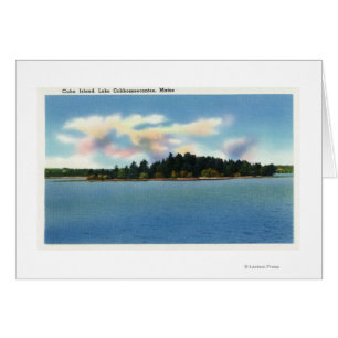 Lake Cobbosseecontee View of Cuba Island Cards