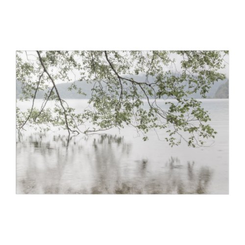 Lake Crescent  Olympic National Park WA Acrylic Print