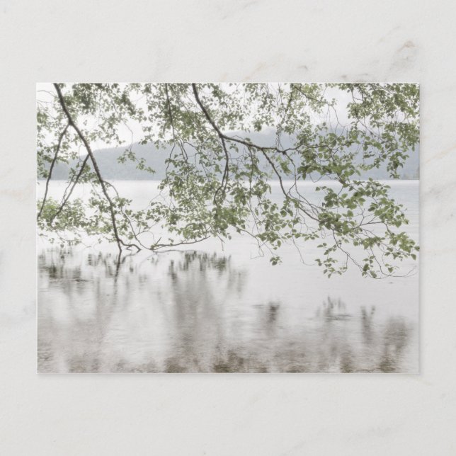 Lake Crescent | Olympic National Park, WA Postcard (Front)