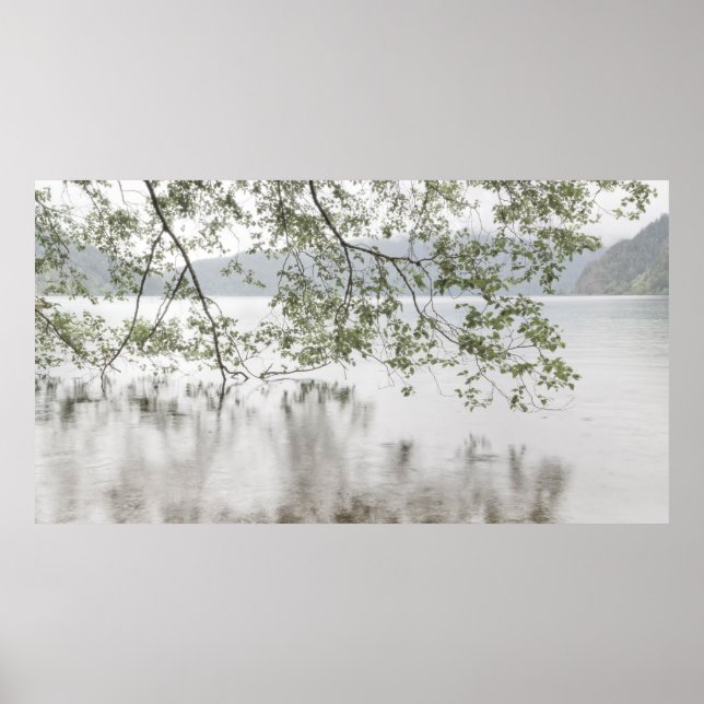 Lake Crescent | Olympic National Park, WA Poster (Front)