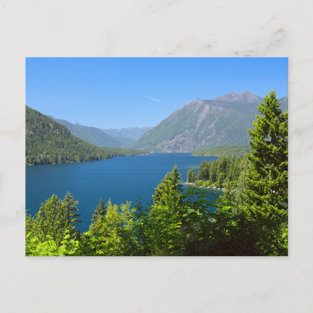 Lake Cushman in Summer Postcard | Zazzle