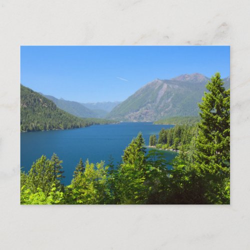 Lake Cushman in Summer Postcard