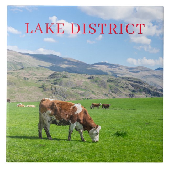 Lake District cows grazing view ceramic tile (Front)