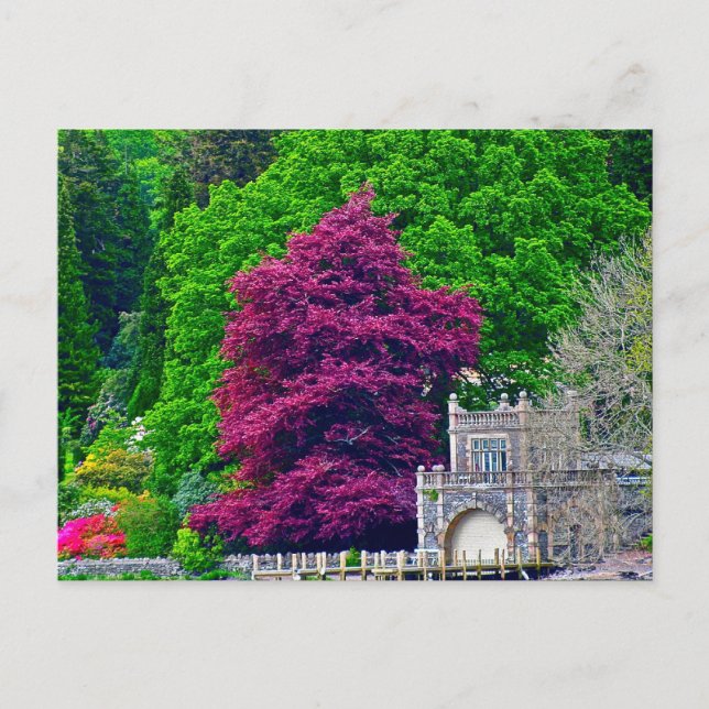 Lake District Postcard (Front)