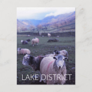 Lake District Postcard