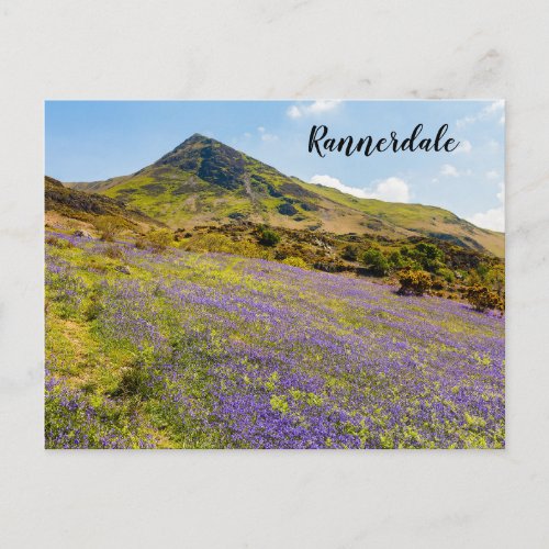 Lake District Rannerdale Bluebells Postcard