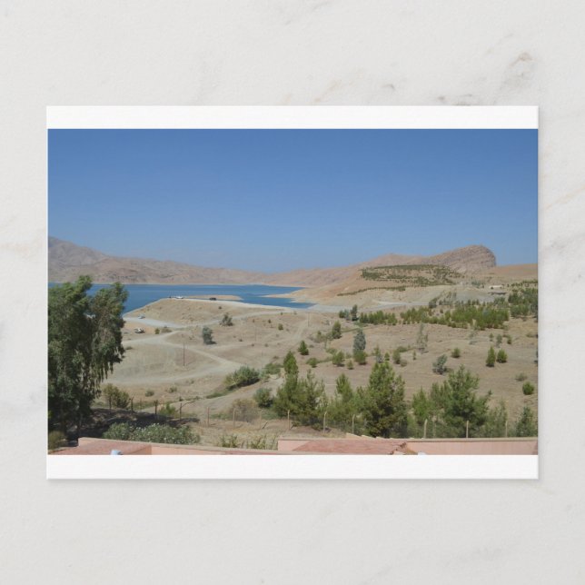 Lake Ducan3 Postcard (Front)