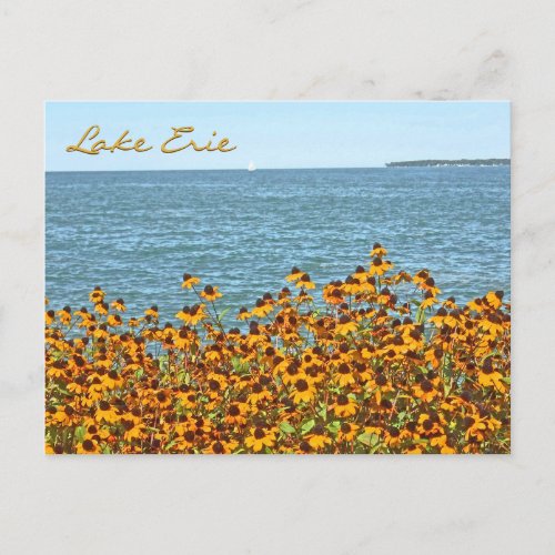 Lake Erie And Brown_eyed SusansLakeside Ohio Postcard