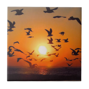 Lake Erie Birds Orange Sunset Photo Tile