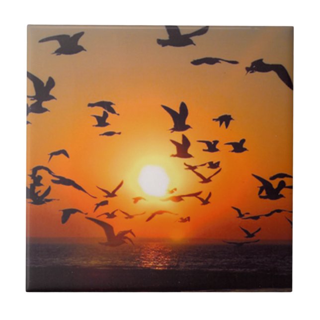 Lake Erie Birds Orange Sunset Photo Tile (Front)