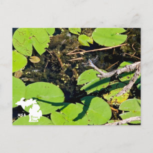 Lake Erie Metropark Dragonfly with Logo Postcard